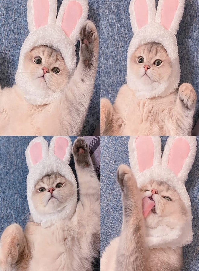 YUJUN Cat Easter Cute Costume Pet Bunny Rabbit Hat with Ears for Cats Small Dogs Puppy Easter Party Costume Accessory Headwear - Image 5